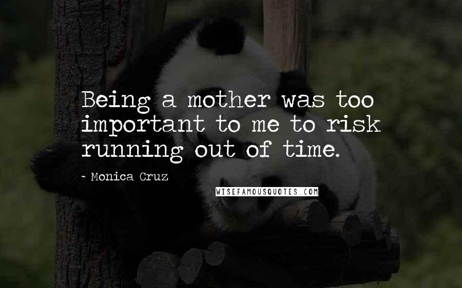 Monica Cruz Quotes: Being a mother was too important to me to risk running out of time.