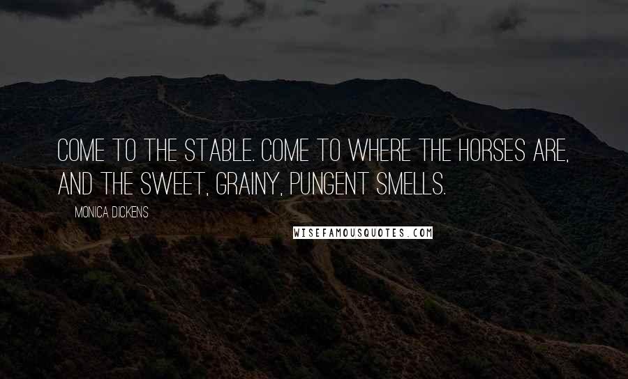 Monica Dickens Quotes: Come to the stable. Come to where the horses are, and the sweet, grainy, pungent smells.