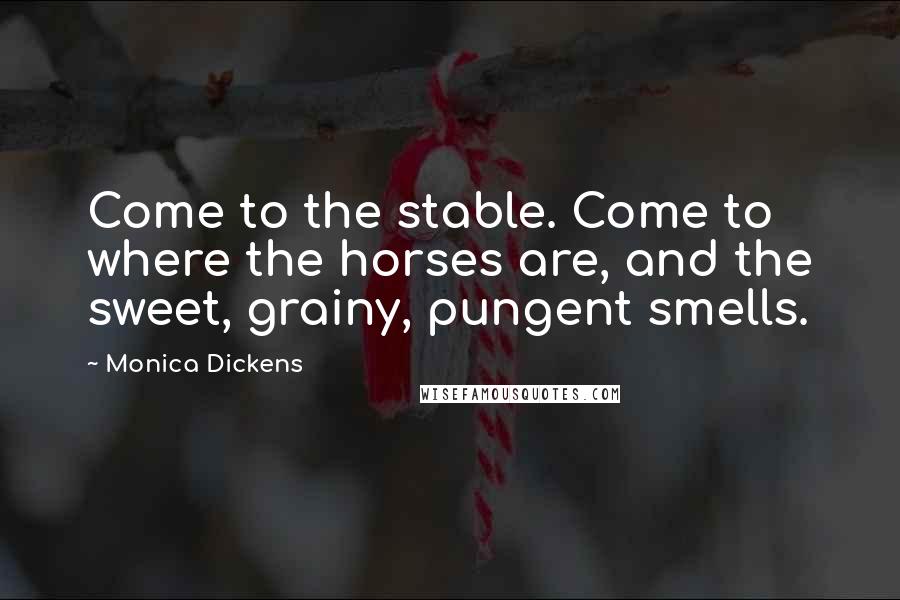 Monica Dickens Quotes: Come to the stable. Come to where the horses are, and the sweet, grainy, pungent smells.