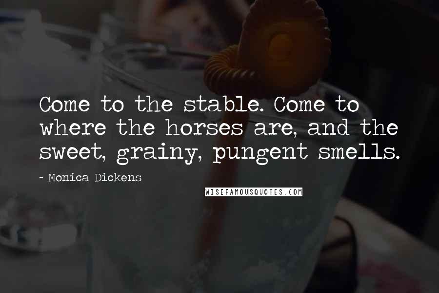 Monica Dickens Quotes: Come to the stable. Come to where the horses are, and the sweet, grainy, pungent smells.