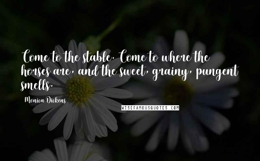 Monica Dickens Quotes: Come to the stable. Come to where the horses are, and the sweet, grainy, pungent smells.