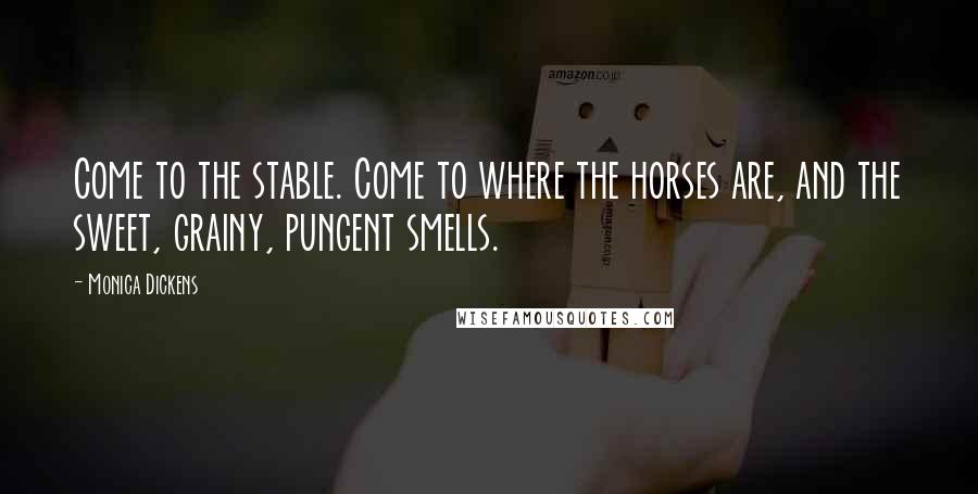 Monica Dickens Quotes: Come to the stable. Come to where the horses are, and the sweet, grainy, pungent smells.
