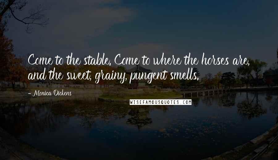 Monica Dickens Quotes: Come to the stable. Come to where the horses are, and the sweet, grainy, pungent smells.