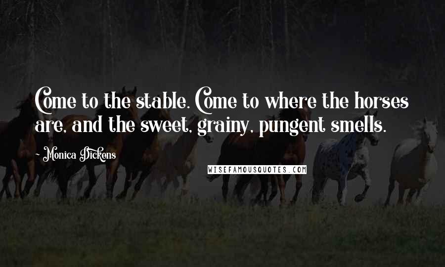 Monica Dickens Quotes: Come to the stable. Come to where the horses are, and the sweet, grainy, pungent smells.