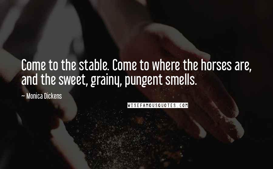 Monica Dickens Quotes: Come to the stable. Come to where the horses are, and the sweet, grainy, pungent smells.
