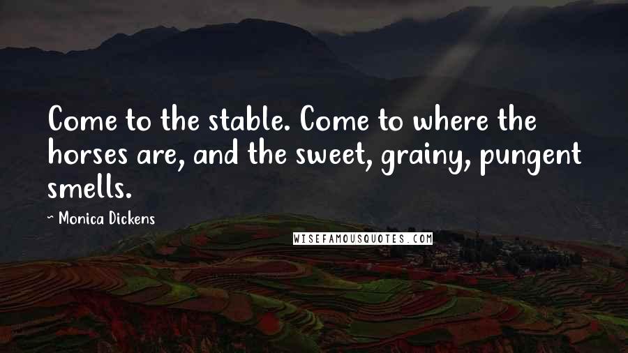 Monica Dickens Quotes: Come to the stable. Come to where the horses are, and the sweet, grainy, pungent smells.