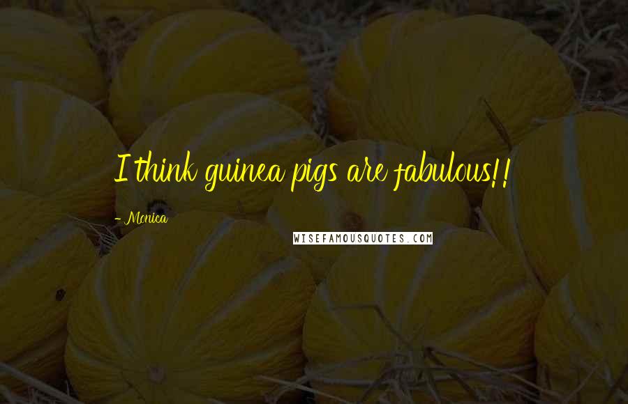 Monica Quotes: I think guinea pigs are fabulous!!