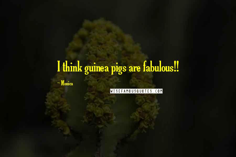 Monica Quotes: I think guinea pigs are fabulous!!
