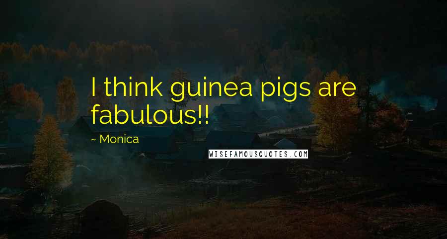 Monica Quotes: I think guinea pigs are fabulous!!