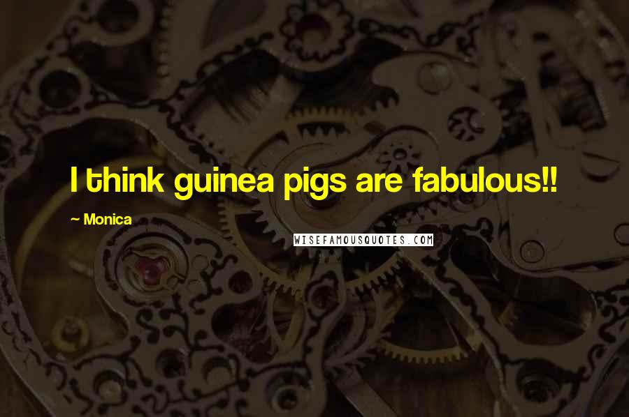 Monica Quotes: I think guinea pigs are fabulous!!