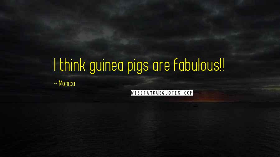 Monica Quotes: I think guinea pigs are fabulous!!