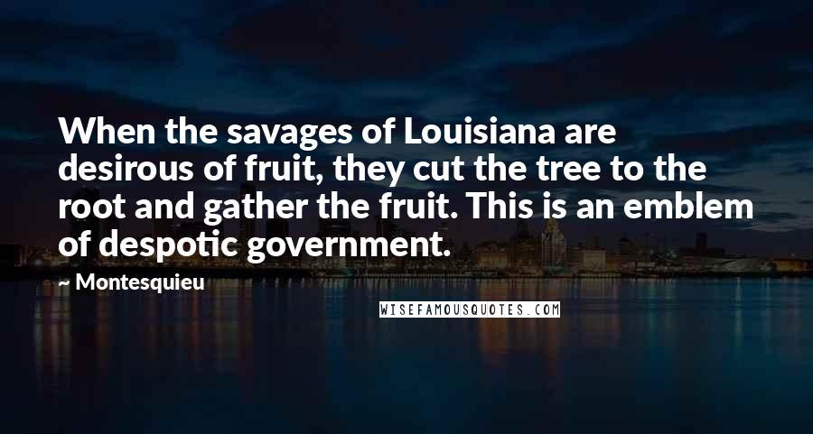 Montesquieu Quotes: When the savages of Louisiana are desirous of fruit, they cut the tree to the root and gather the fruit. This is an emblem of despotic government.