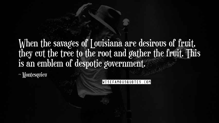 Montesquieu Quotes: When the savages of Louisiana are desirous of fruit, they cut the tree to the root and gather the fruit. This is an emblem of despotic government.