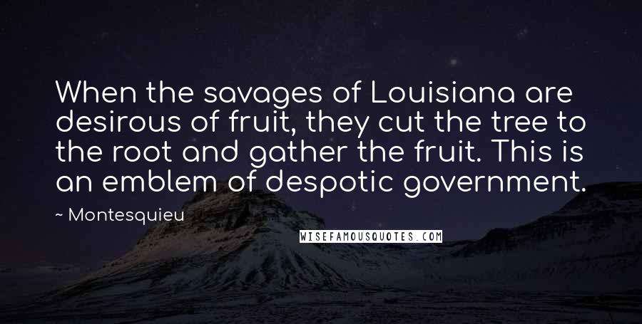 Montesquieu Quotes: When the savages of Louisiana are desirous of fruit, they cut the tree to the root and gather the fruit. This is an emblem of despotic government.