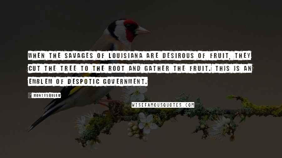 Montesquieu Quotes: When the savages of Louisiana are desirous of fruit, they cut the tree to the root and gather the fruit. This is an emblem of despotic government.