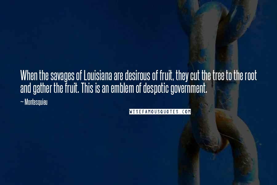 Montesquieu Quotes: When the savages of Louisiana are desirous of fruit, they cut the tree to the root and gather the fruit. This is an emblem of despotic government.