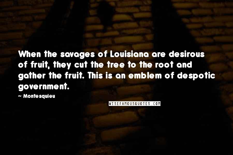 Montesquieu Quotes: When the savages of Louisiana are desirous of fruit, they cut the tree to the root and gather the fruit. This is an emblem of despotic government.