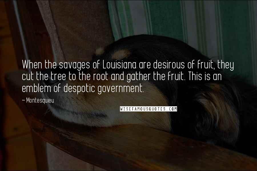 Montesquieu Quotes: When the savages of Louisiana are desirous of fruit, they cut the tree to the root and gather the fruit. This is an emblem of despotic government.