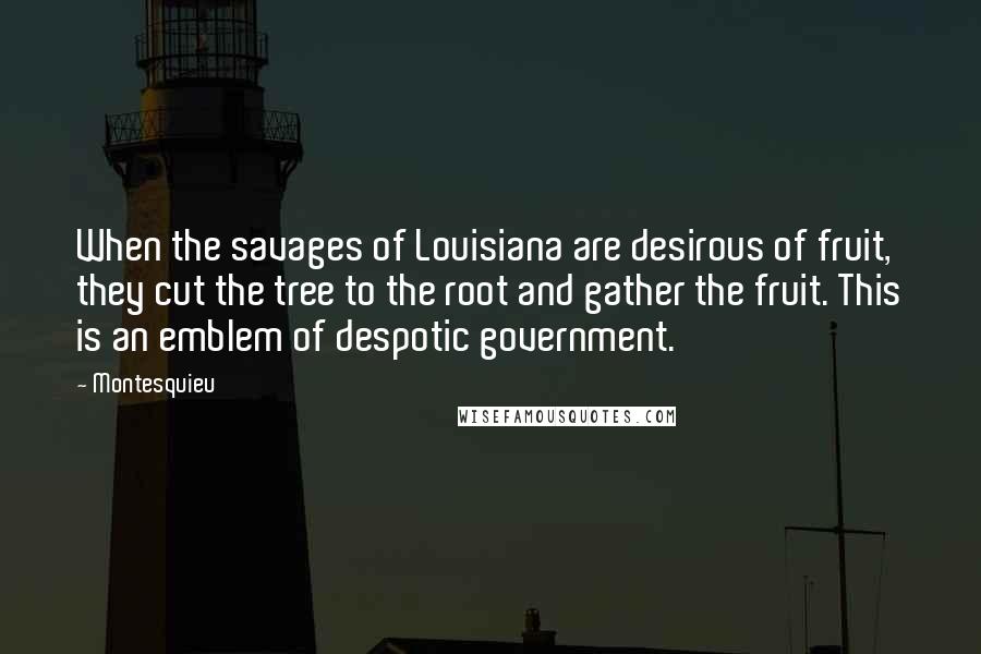 Montesquieu Quotes: When the savages of Louisiana are desirous of fruit, they cut the tree to the root and gather the fruit. This is an emblem of despotic government.