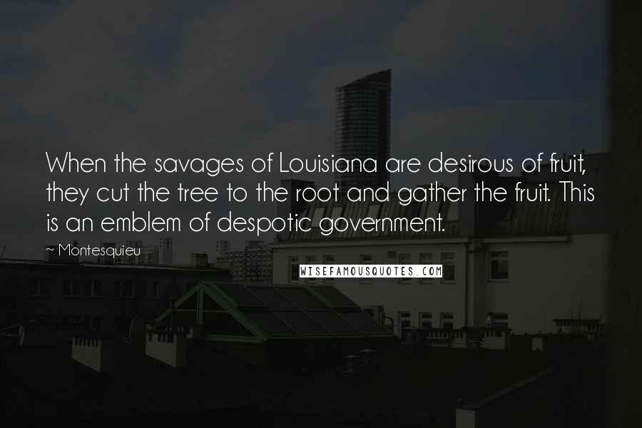 Montesquieu Quotes: When the savages of Louisiana are desirous of fruit, they cut the tree to the root and gather the fruit. This is an emblem of despotic government.