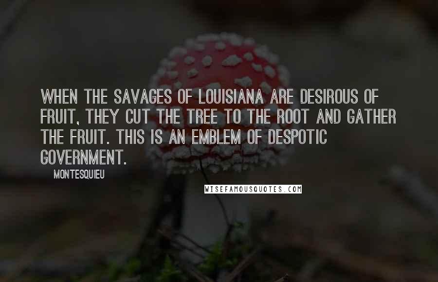 Montesquieu Quotes: When the savages of Louisiana are desirous of fruit, they cut the tree to the root and gather the fruit. This is an emblem of despotic government.