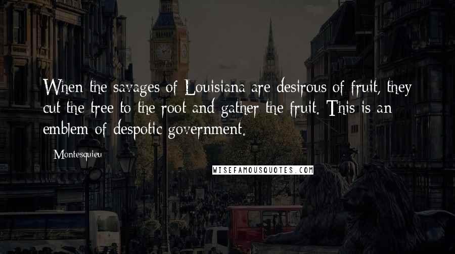 Montesquieu Quotes: When the savages of Louisiana are desirous of fruit, they cut the tree to the root and gather the fruit. This is an emblem of despotic government.