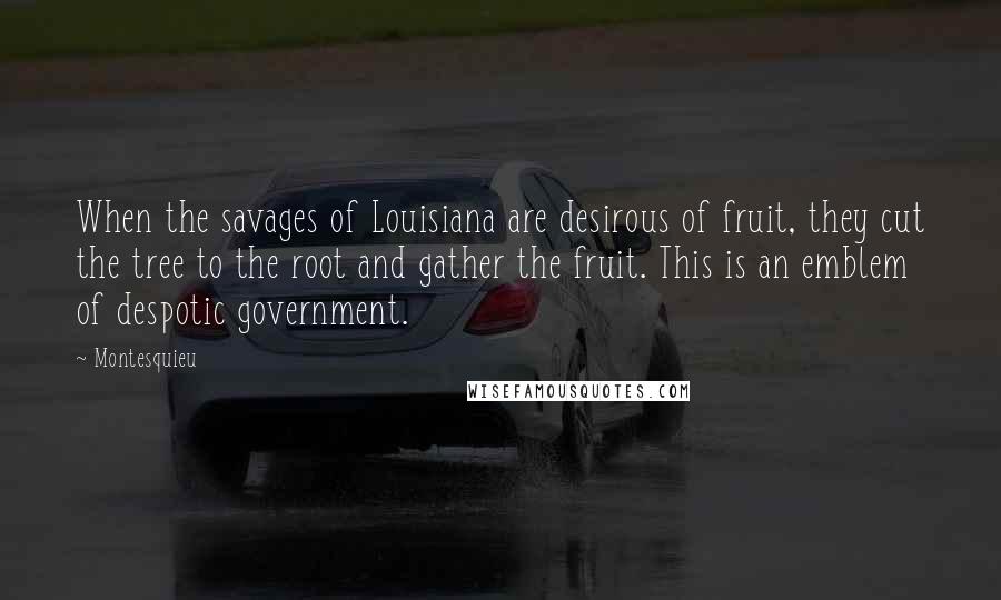 Montesquieu Quotes: When the savages of Louisiana are desirous of fruit, they cut the tree to the root and gather the fruit. This is an emblem of despotic government.