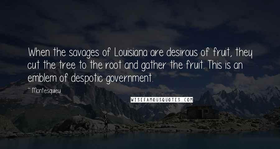 Montesquieu Quotes: When the savages of Louisiana are desirous of fruit, they cut the tree to the root and gather the fruit. This is an emblem of despotic government.