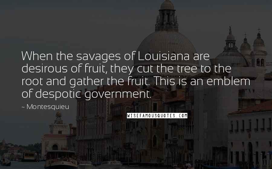 Montesquieu Quotes: When the savages of Louisiana are desirous of fruit, they cut the tree to the root and gather the fruit. This is an emblem of despotic government.