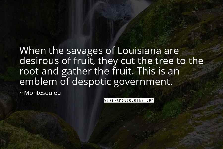 Montesquieu Quotes: When the savages of Louisiana are desirous of fruit, they cut the tree to the root and gather the fruit. This is an emblem of despotic government.