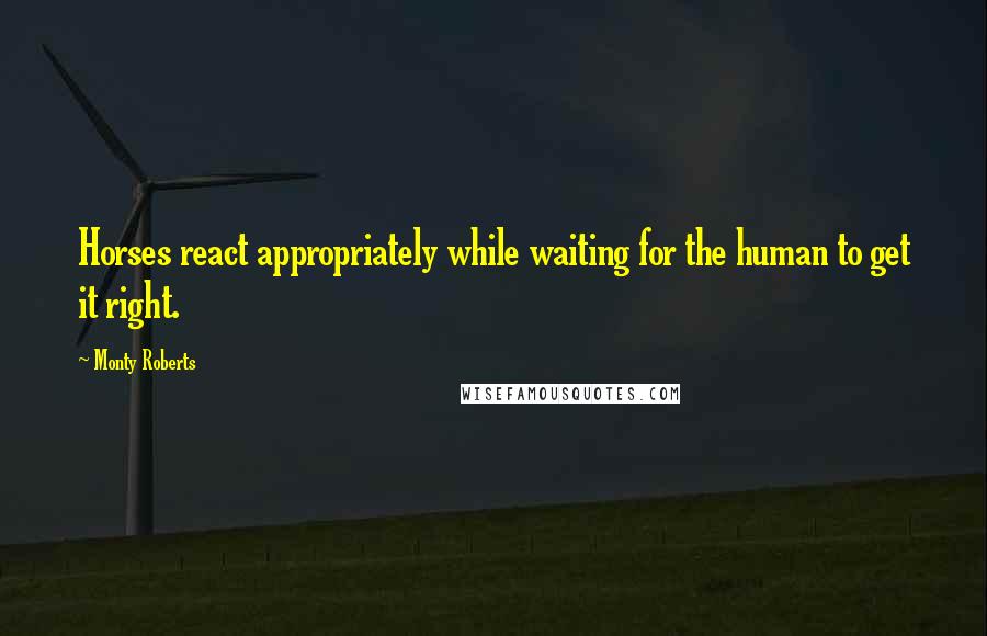 Monty Roberts Quotes: Horses react appropriately while waiting for the human to get it right.