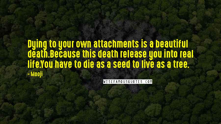 Mooji Quotes: Dying to your own attachments is a beautiful death.Because this death release you into real life.You have to die as a seed to live as a tree.