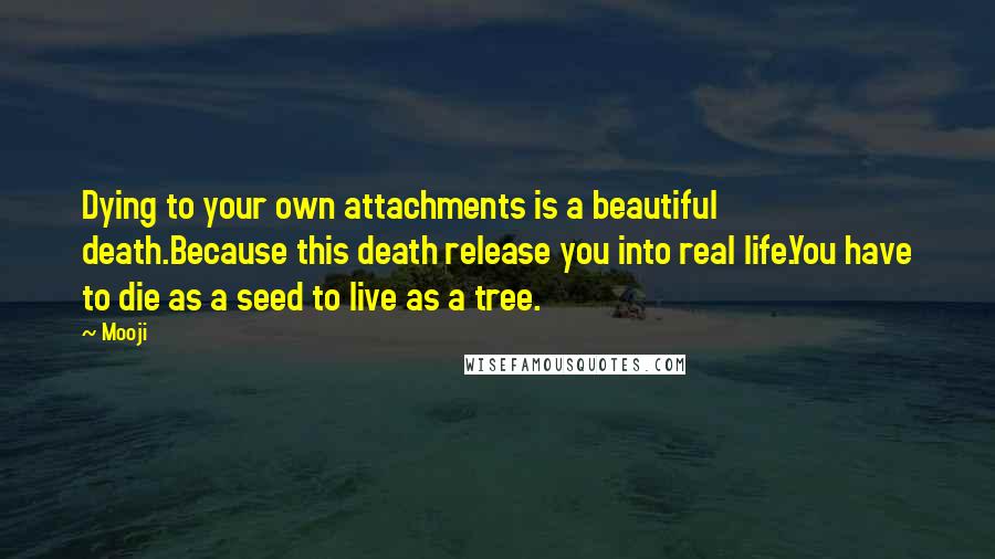 Mooji Quotes: Dying to your own attachments is a beautiful death.Because this death release you into real life.You have to die as a seed to live as a tree.