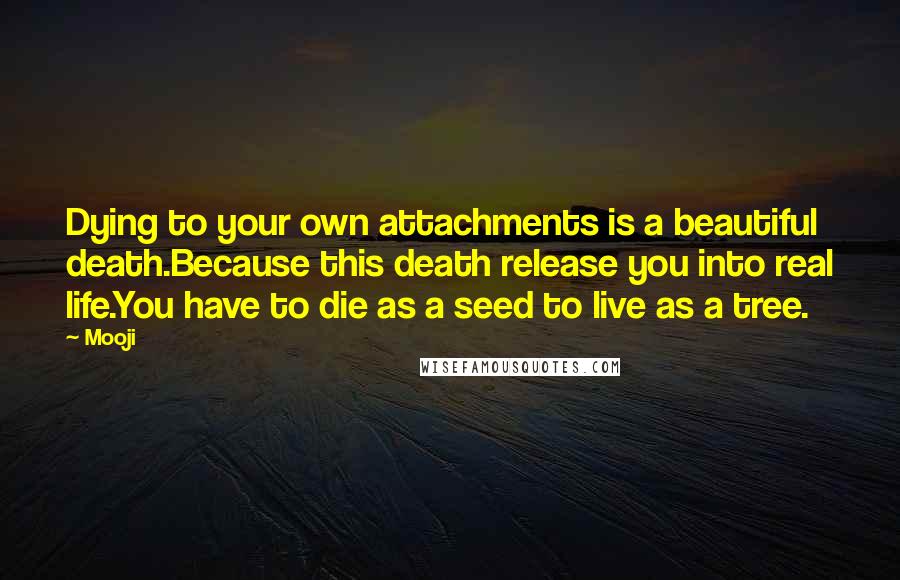 Mooji Quotes: Dying to your own attachments is a beautiful death.Because this death release you into real life.You have to die as a seed to live as a tree.