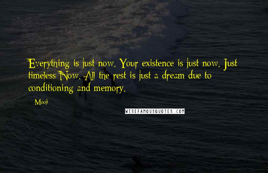 Mooji Quotes: Everything is just now. Your existence is just now. Just timeless Now. All the rest is just a dream due to conditioning and memory.