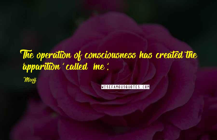 Mooji Quotes: The operation of consciousness has created the 'apparition' called 'me'.