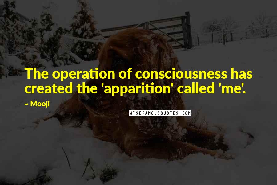 Mooji Quotes: The operation of consciousness has created the 'apparition' called 'me'.