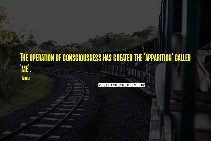 Mooji Quotes: The operation of consciousness has created the 'apparition' called 'me'.