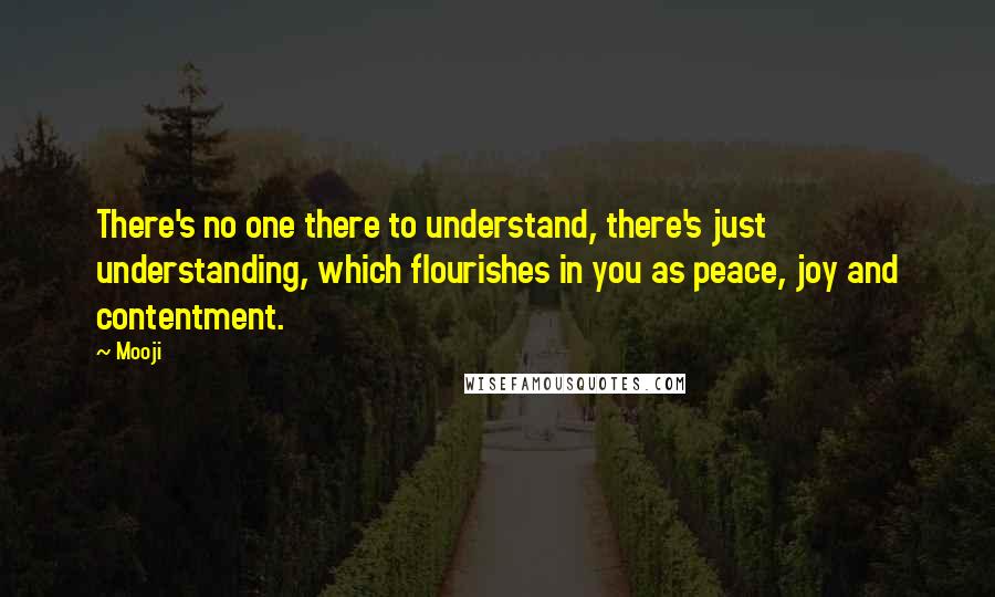 Mooji Quotes: There's no one there to understand, there's just understanding, which flourishes in you as peace, joy and contentment.