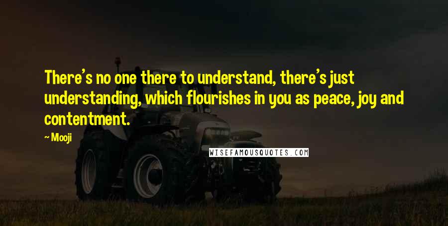 Mooji Quotes: There's no one there to understand, there's just understanding, which flourishes in you as peace, joy and contentment.