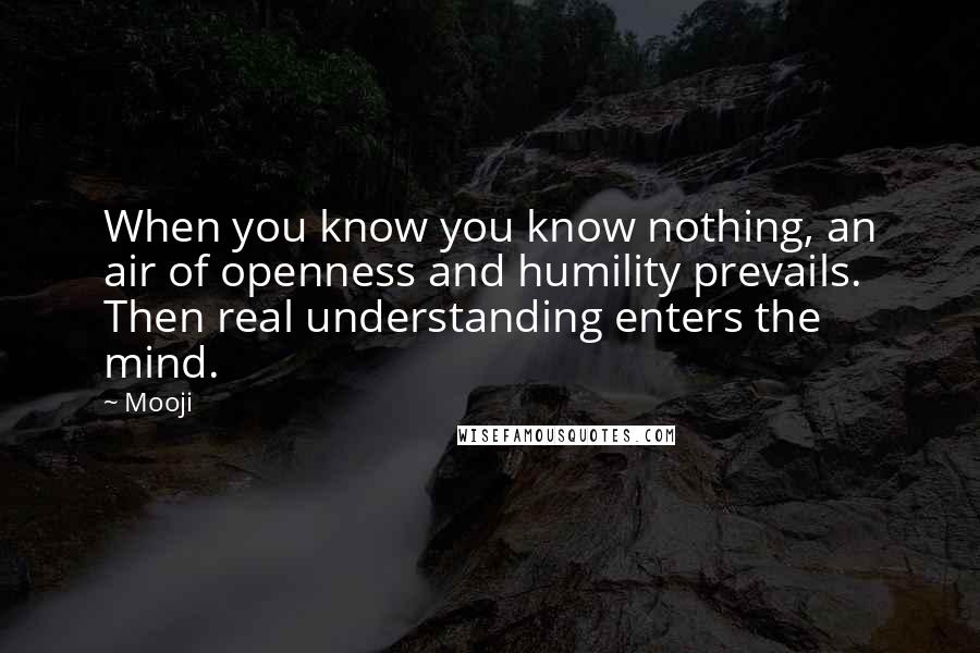 Mooji Quotes: When you know you know nothing, an air of openness and humility prevails. Then real understanding enters the mind.