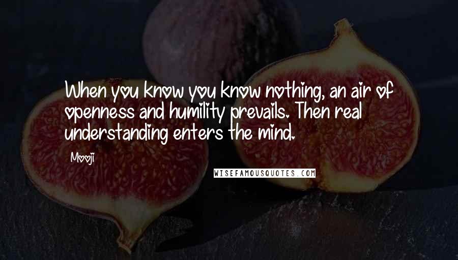 Mooji Quotes: When you know you know nothing, an air of openness and humility prevails. Then real understanding enters the mind.