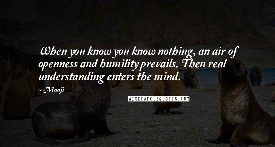 Mooji Quotes: When you know you know nothing, an air of openness and humility prevails. Then real understanding enters the mind.