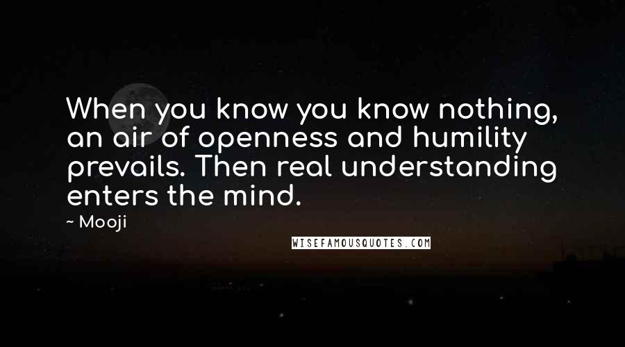 Mooji Quotes: When you know you know nothing, an air of openness and humility prevails. Then real understanding enters the mind.