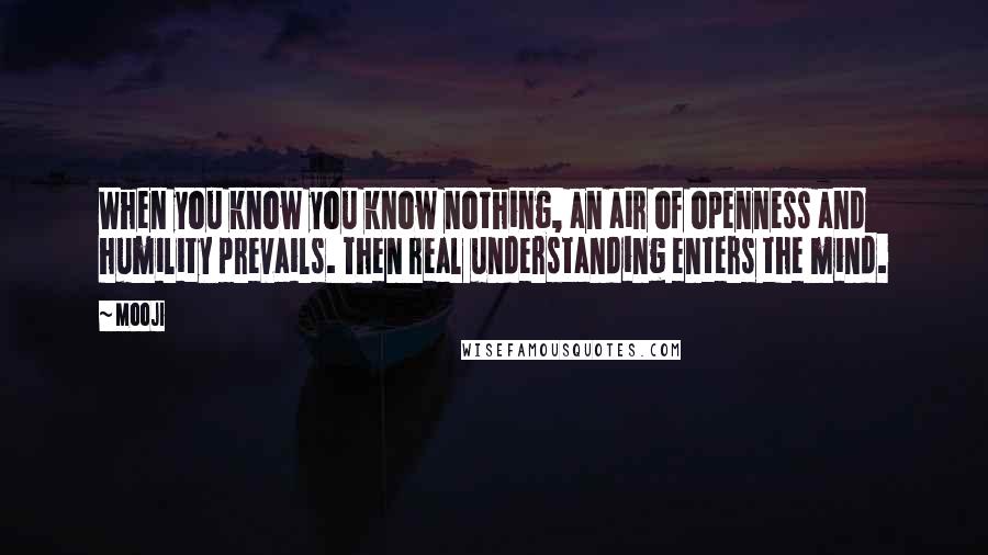 Mooji Quotes: When you know you know nothing, an air of openness and humility prevails. Then real understanding enters the mind.