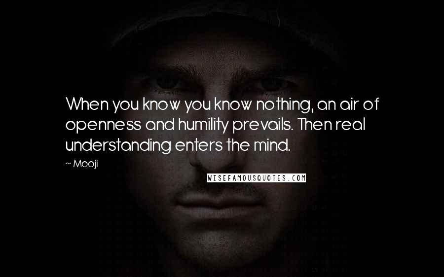 Mooji Quotes: When you know you know nothing, an air of openness and humility prevails. Then real understanding enters the mind.