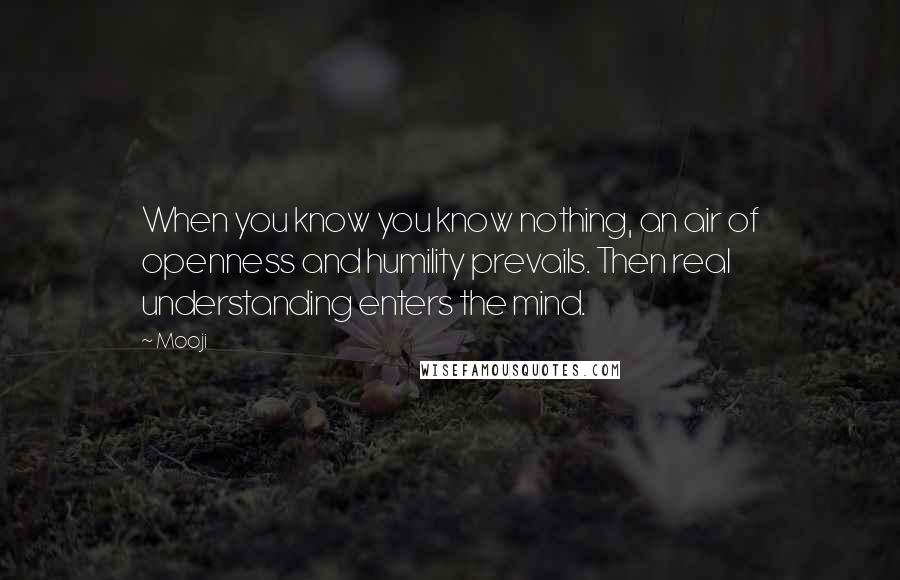 Mooji Quotes: When you know you know nothing, an air of openness and humility prevails. Then real understanding enters the mind.