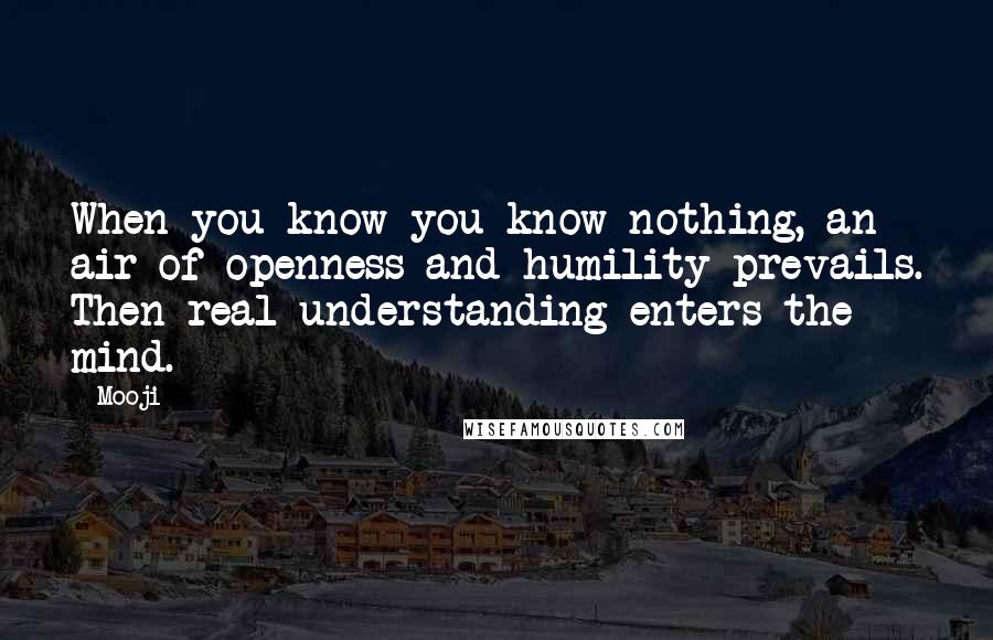 Mooji Quotes: When you know you know nothing, an air of openness and humility prevails. Then real understanding enters the mind.