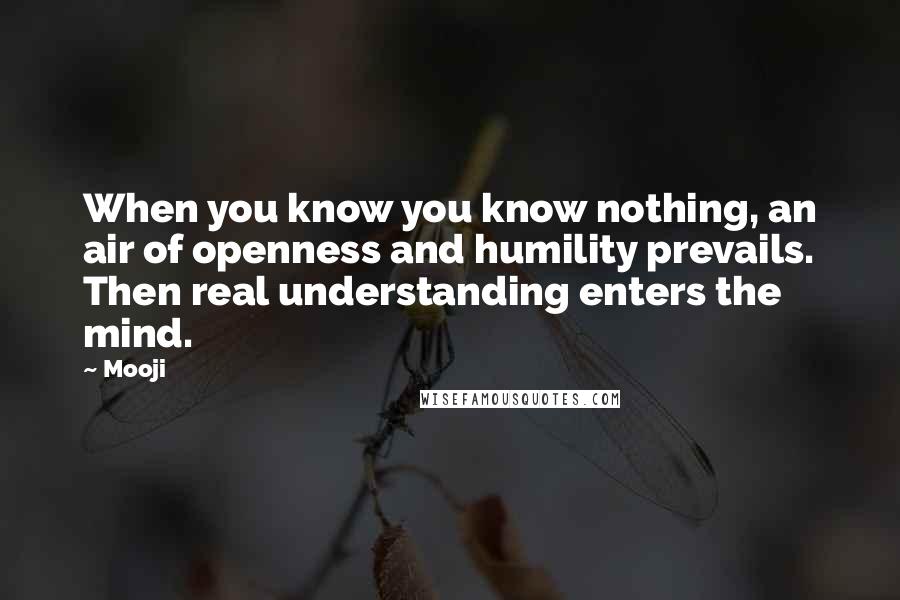 Mooji Quotes: When you know you know nothing, an air of openness and humility prevails. Then real understanding enters the mind.