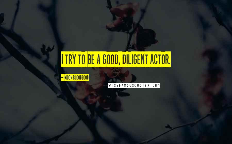 Moon Bloodgood Quotes: I try to be a good, diligent actor.